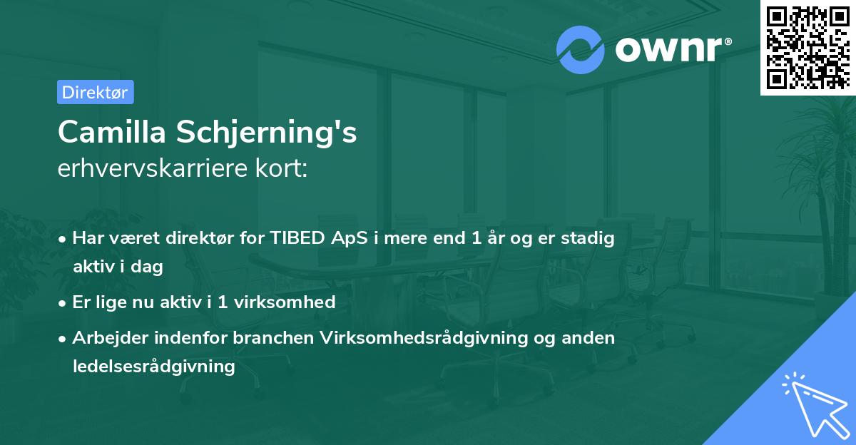 Camilla Schjerning's erhvervskarriere kort