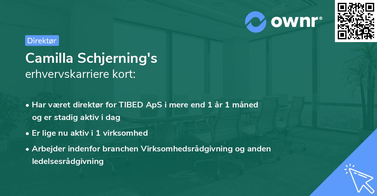 Camilla Schjerning's erhvervskarriere kort
