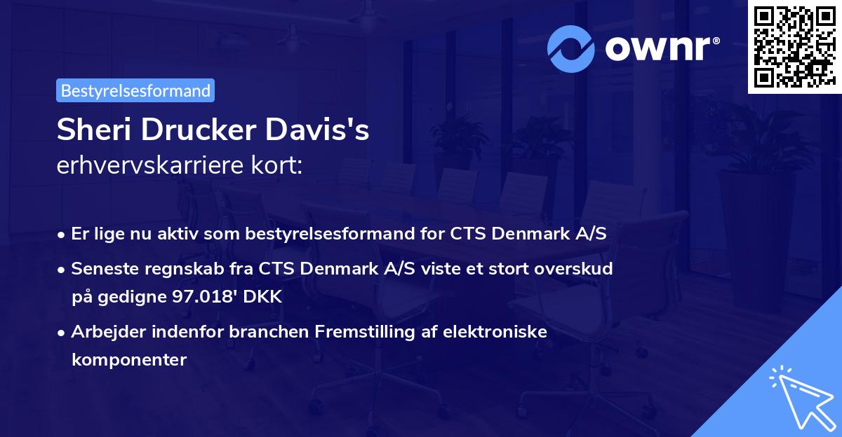 Sheri Drucker Davis's erhvervskarriere kort