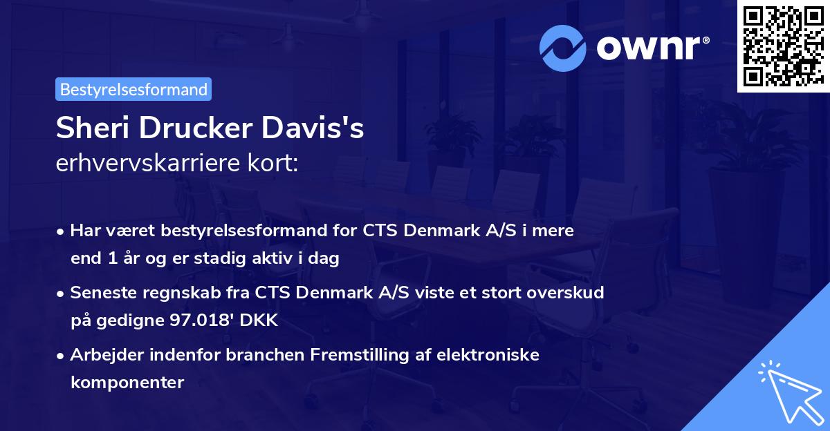 Sheri Drucker Davis's erhvervskarriere kort