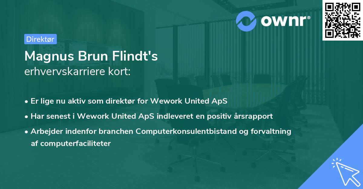 Magnus Brun Flindt's erhvervskarriere kort