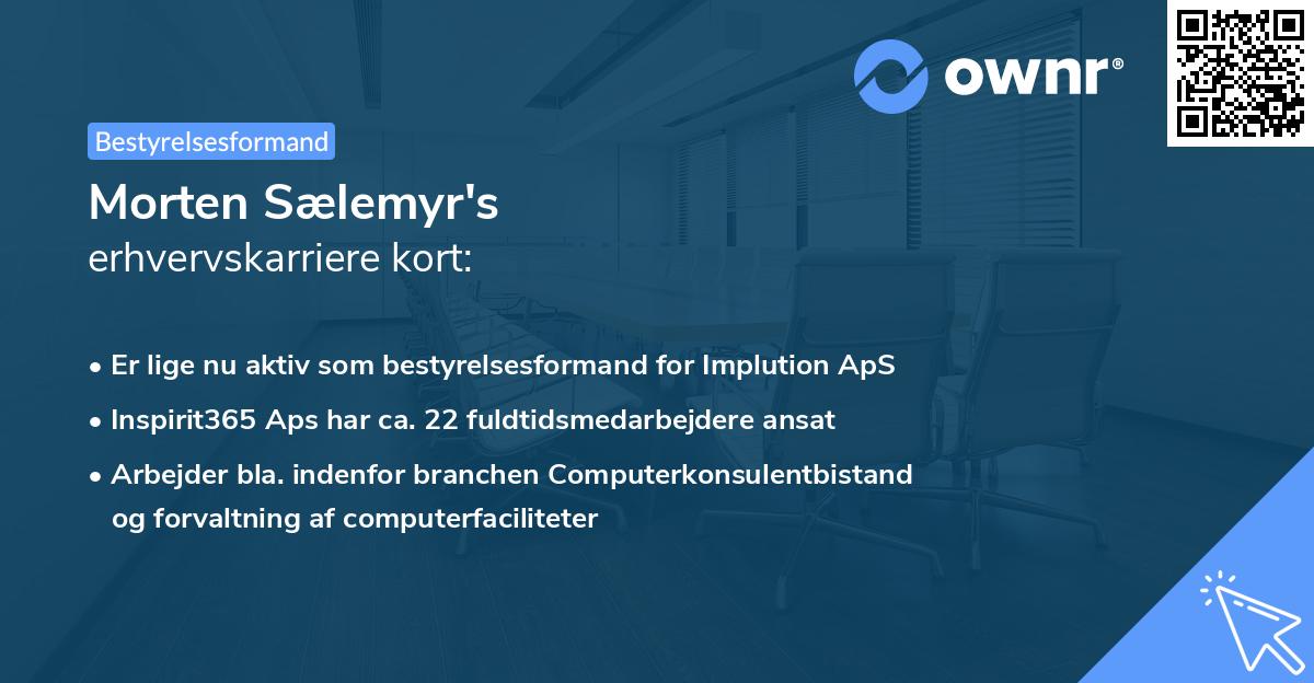 Morten Sælemyr's erhvervskarriere kort