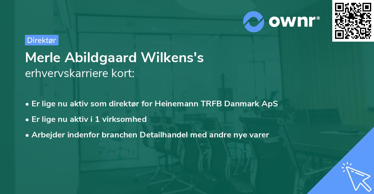 Merle Abildgaard Wilkens's erhvervskarriere kort