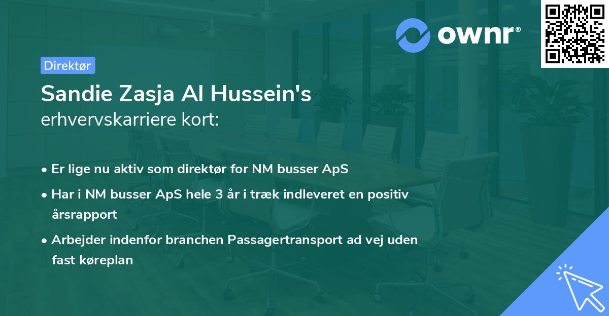 Sandie Zasja Al Hussein's erhvervskarriere kort