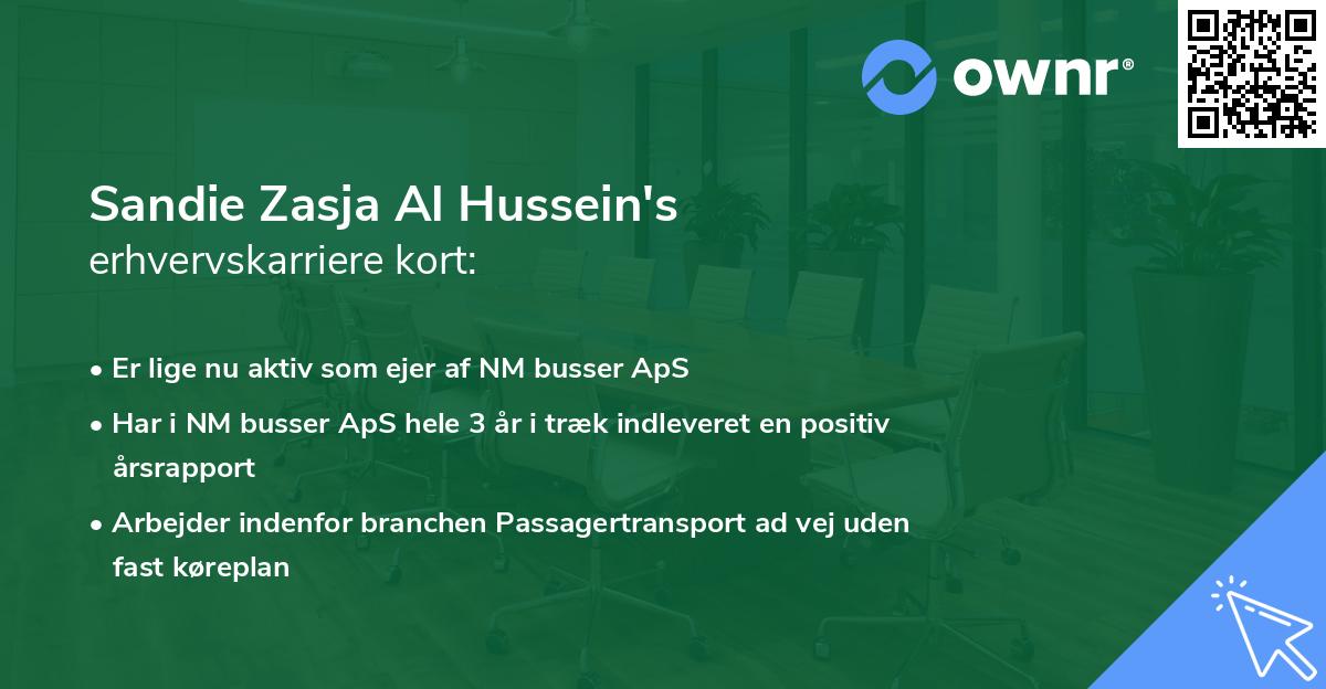 Sandie Zasja Al Hussein's erhvervskarriere kort