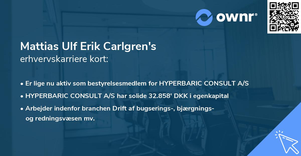 Mattias Ulf Erik Carlgren's erhvervskarriere kort