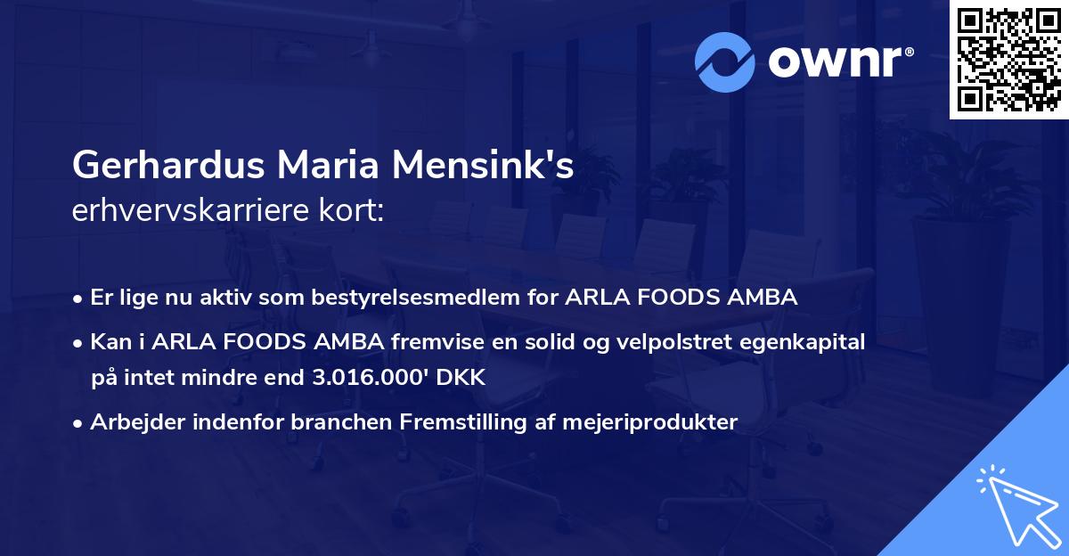 Gerhardus Maria Mensink's erhvervskarriere kort