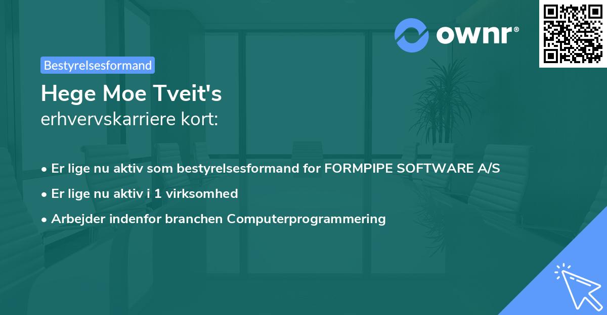 Hege Moe Tveit's erhvervskarriere kort