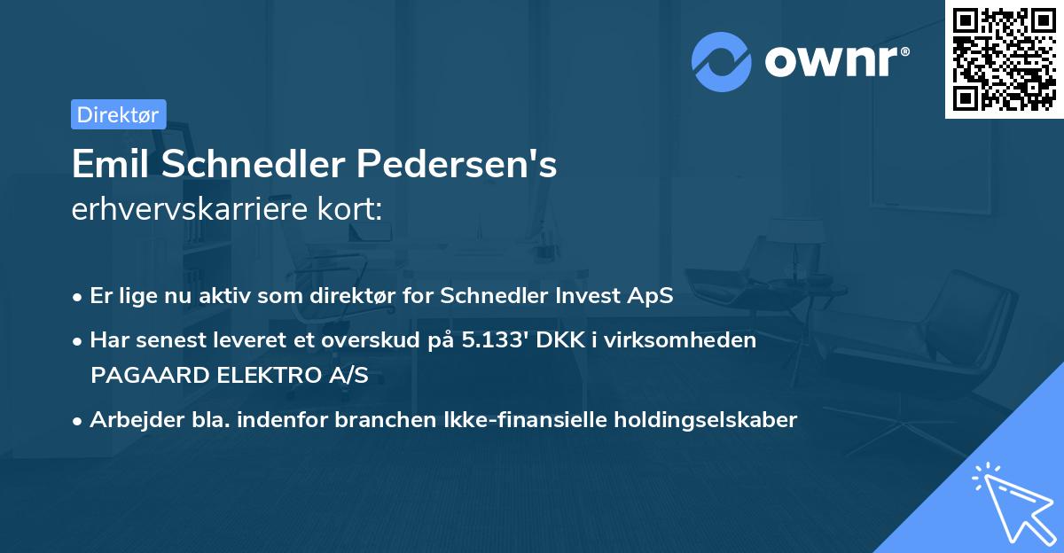 Emil Schnedler Pedersen's erhvervskarriere kort