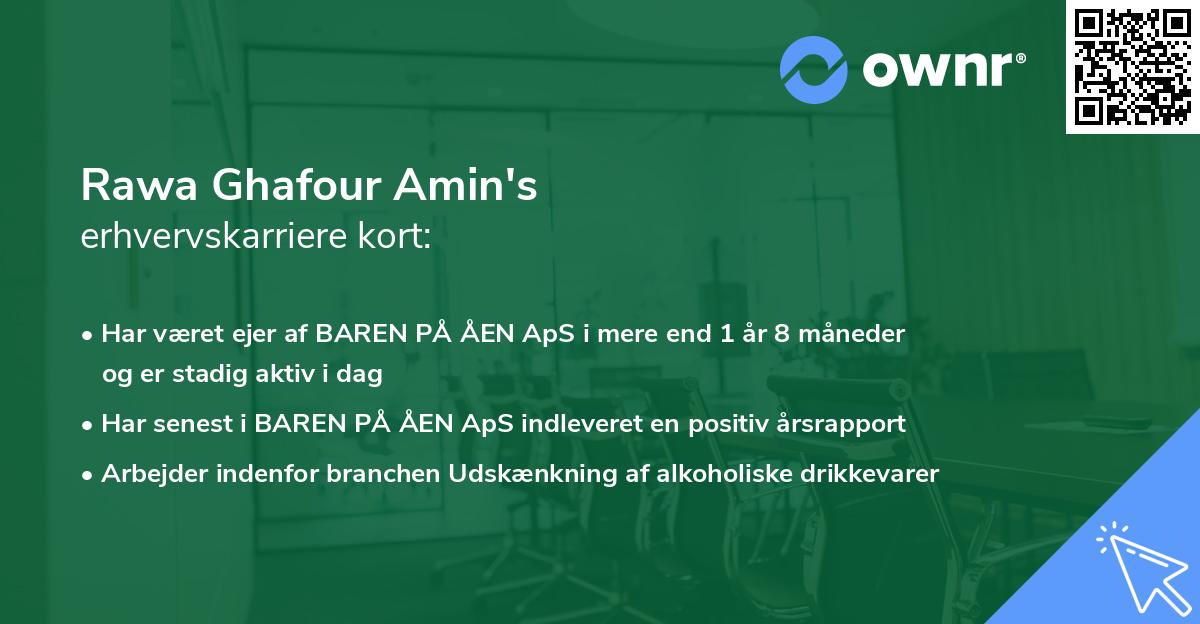 Rawa Ghafour Amin's erhvervskarriere kort