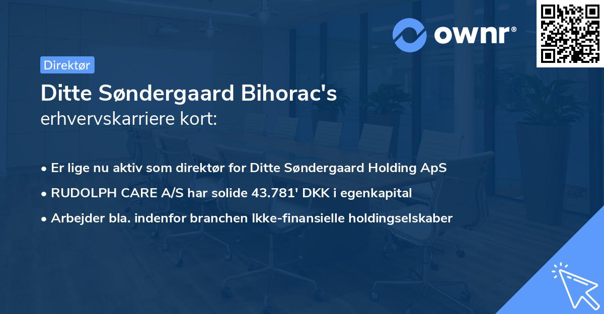 Ditte Søndergaard Bihorac's erhvervskarriere kort