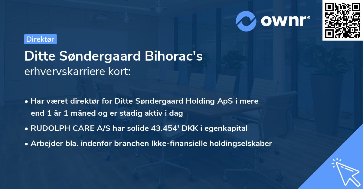 Ditte Søndergaard Bihorac's erhvervskarriere kort