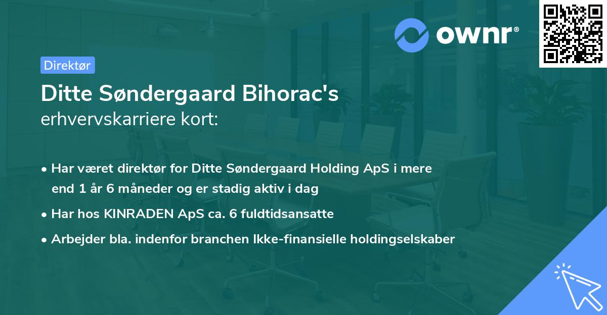 Ditte Søndergaard Bihorac's erhvervskarriere kort