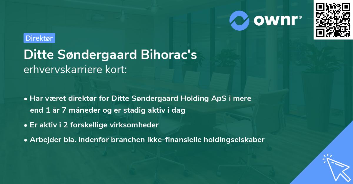 Ditte Søndergaard Bihorac's erhvervskarriere kort