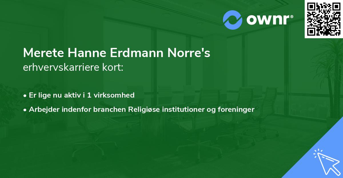 Merete Hanne Erdmann Norre's erhvervskarriere kort