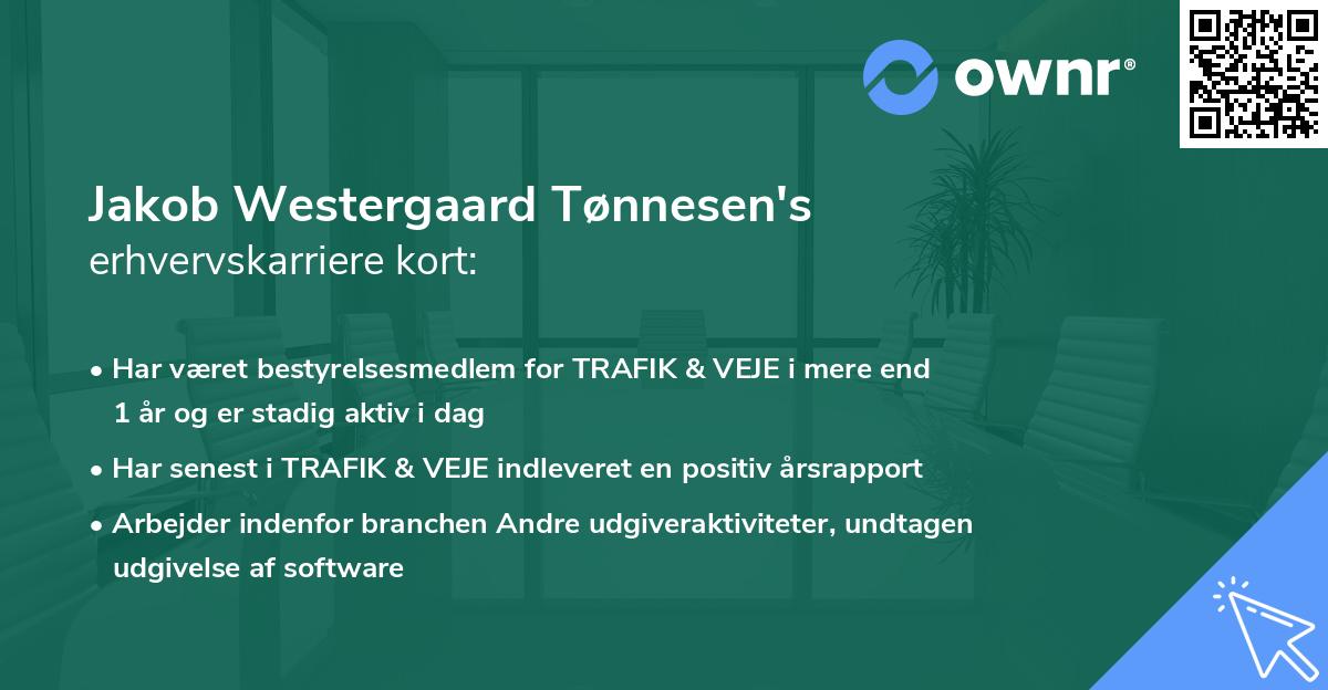 Jakob Westergaard Tønnesen's erhvervskarriere kort