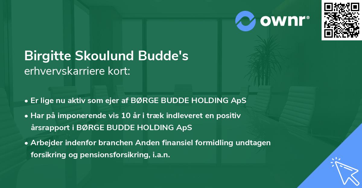 Birgitte Skoulund Budde's erhvervskarriere kort