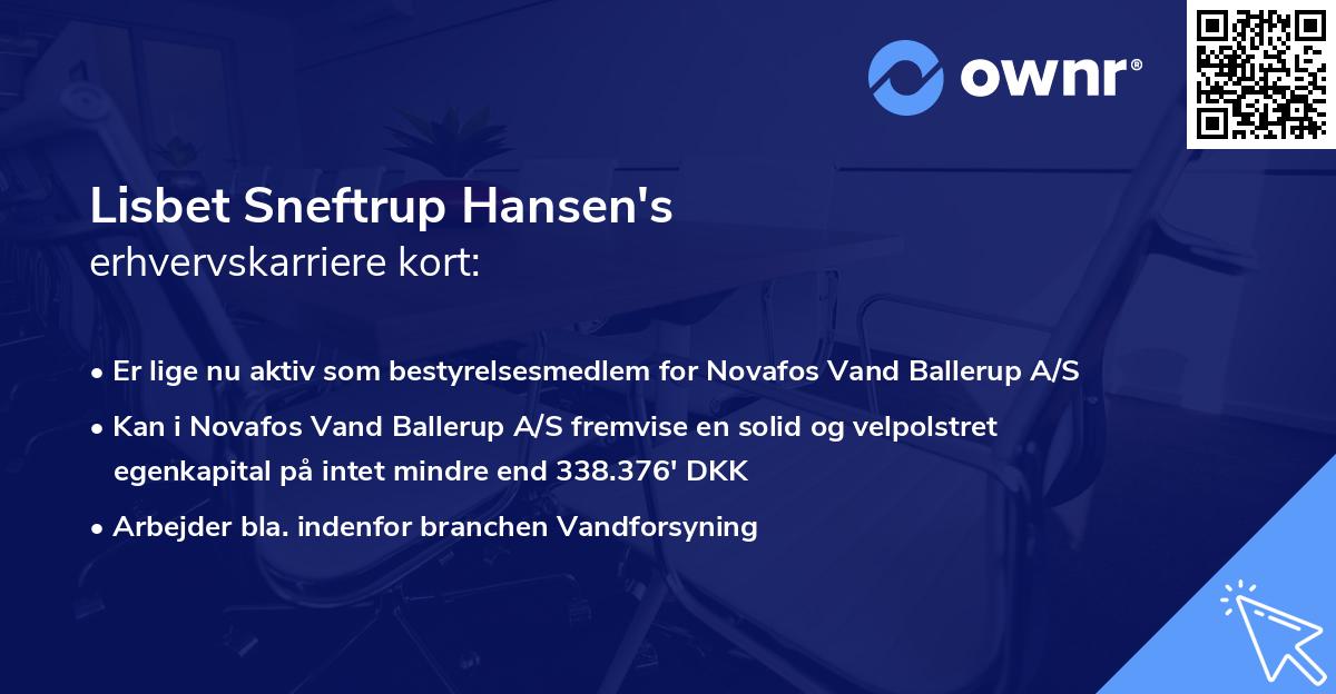 Lisbet Sneftrup Hansen's erhvervskarriere kort