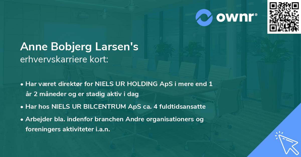Anne Bobjerg Larsen's erhvervskarriere kort