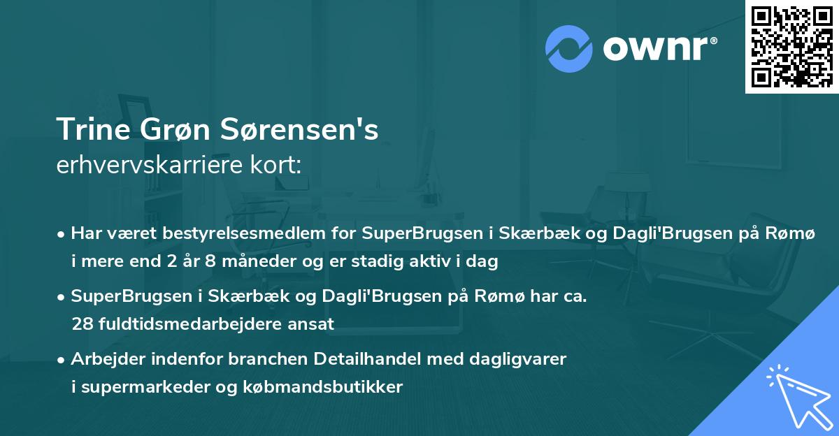 Trine Grøn Sørensen's erhvervskarriere kort