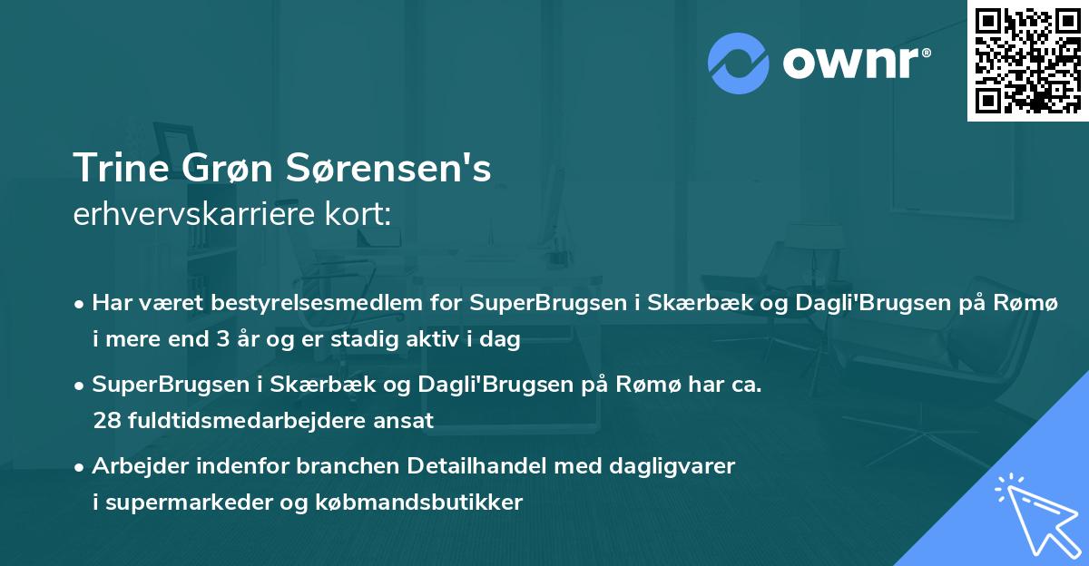 Trine Grøn Sørensen's erhvervskarriere kort