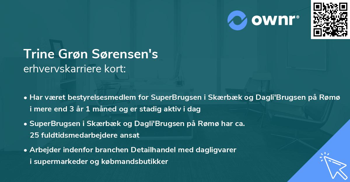 Trine Grøn Sørensen's erhvervskarriere kort