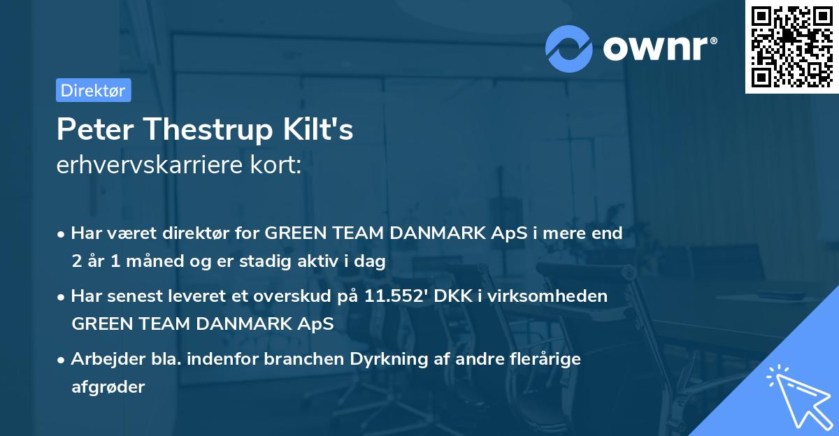 Peter Thestrup Kilt's erhvervskarriere kort