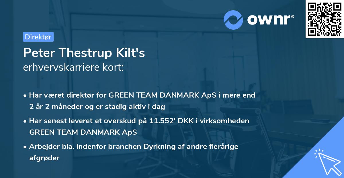 Peter Thestrup Kilt's erhvervskarriere kort