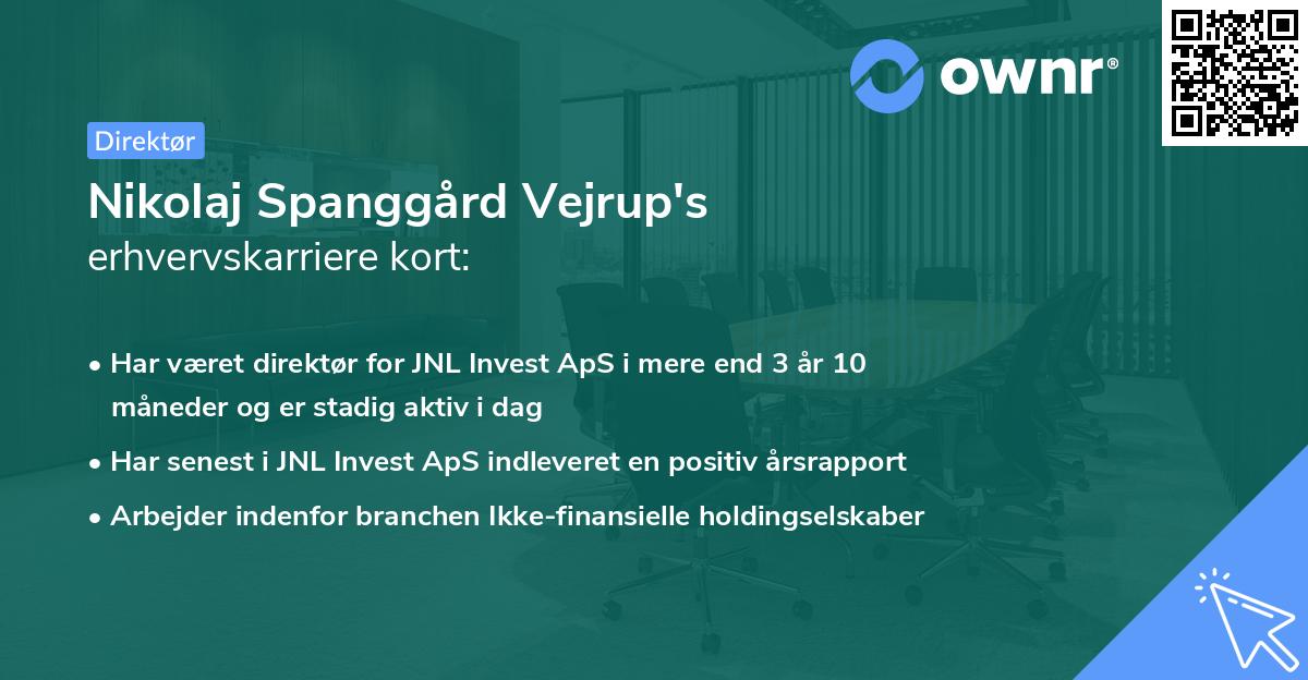 Nikolaj Spanggård Vejrup's erhvervskarriere kort