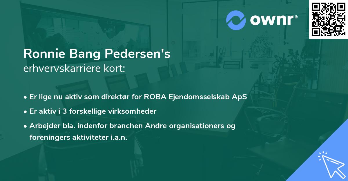 Ronnie Bang Pedersen's erhvervskarriere kort