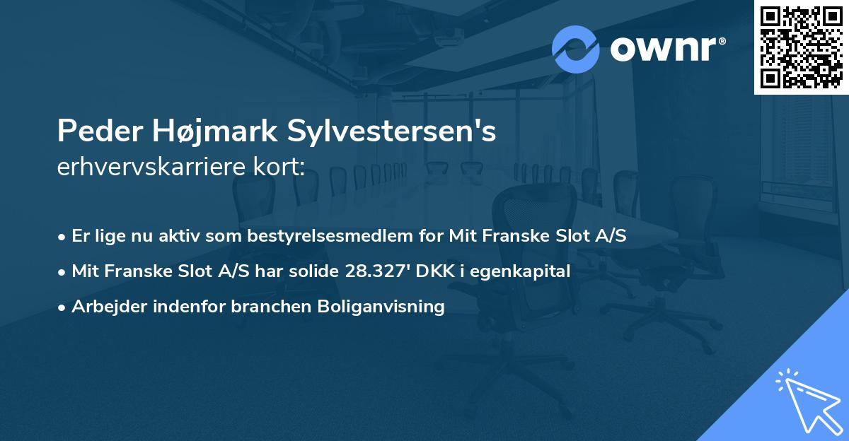 Peder Højmark Sylvestersen's erhvervskarriere kort