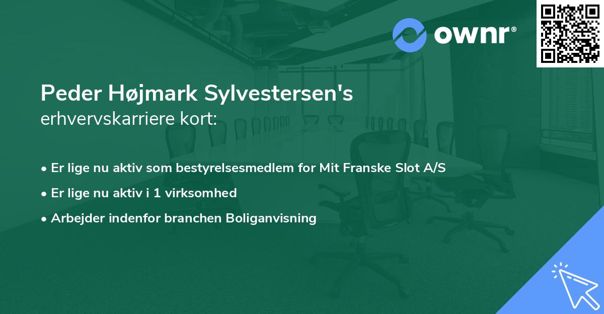 Peder Højmark Sylvestersen's erhvervskarriere kort
