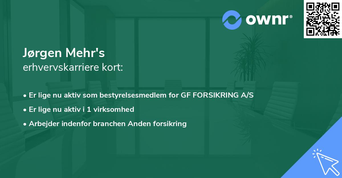 Jørgen Mehr's erhvervskarriere kort