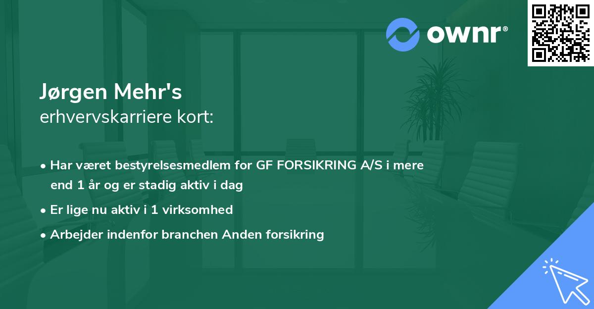Jørgen Mehr's erhvervskarriere kort