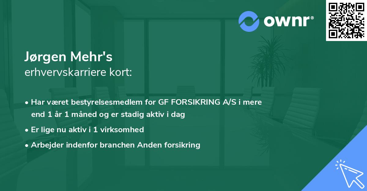 Jørgen Mehr's erhvervskarriere kort