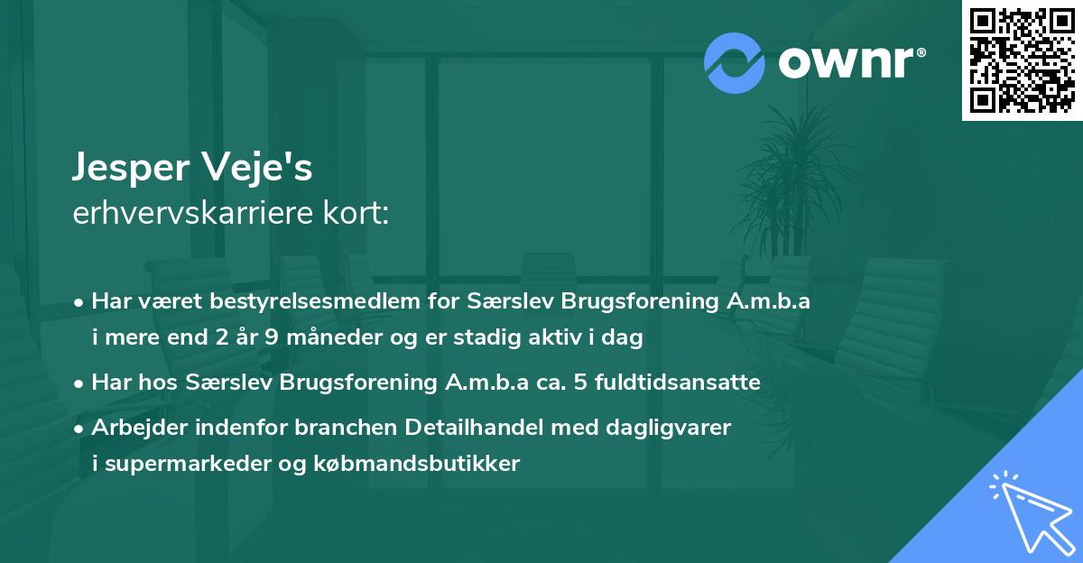 Jesper Veje's erhvervskarriere kort