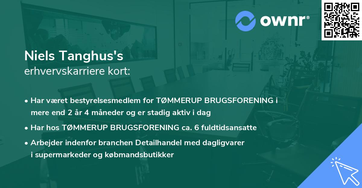 Niels Tanghus's erhvervskarriere kort