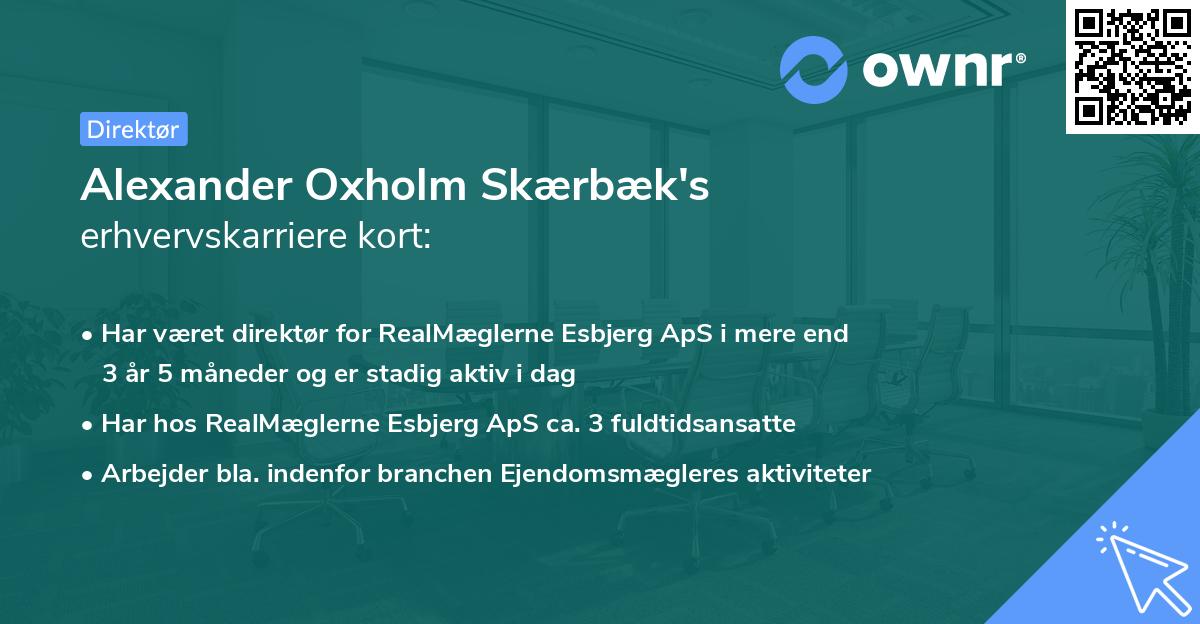 Alexander Oxholm Skærbæk's erhvervskarriere kort