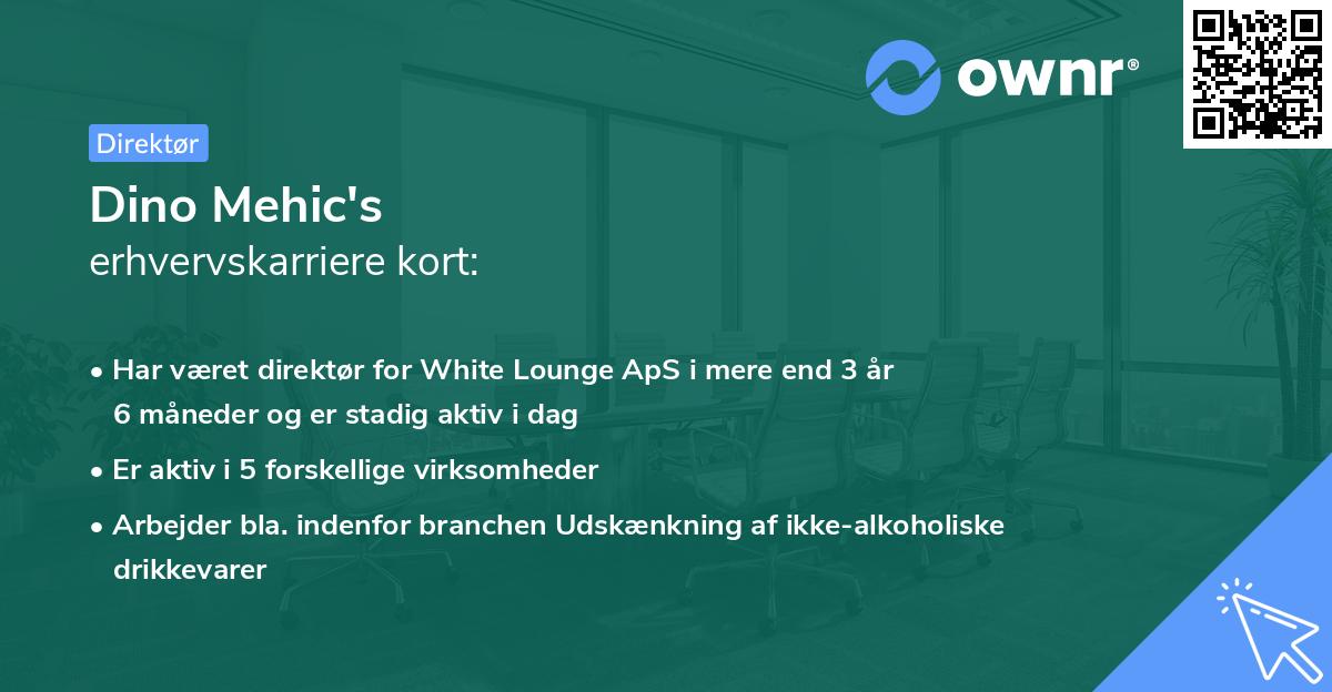 Dino Mehic's erhvervskarriere kort