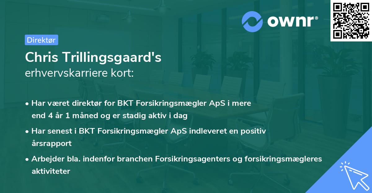 Chris Trillingsgaard's erhvervskarriere kort