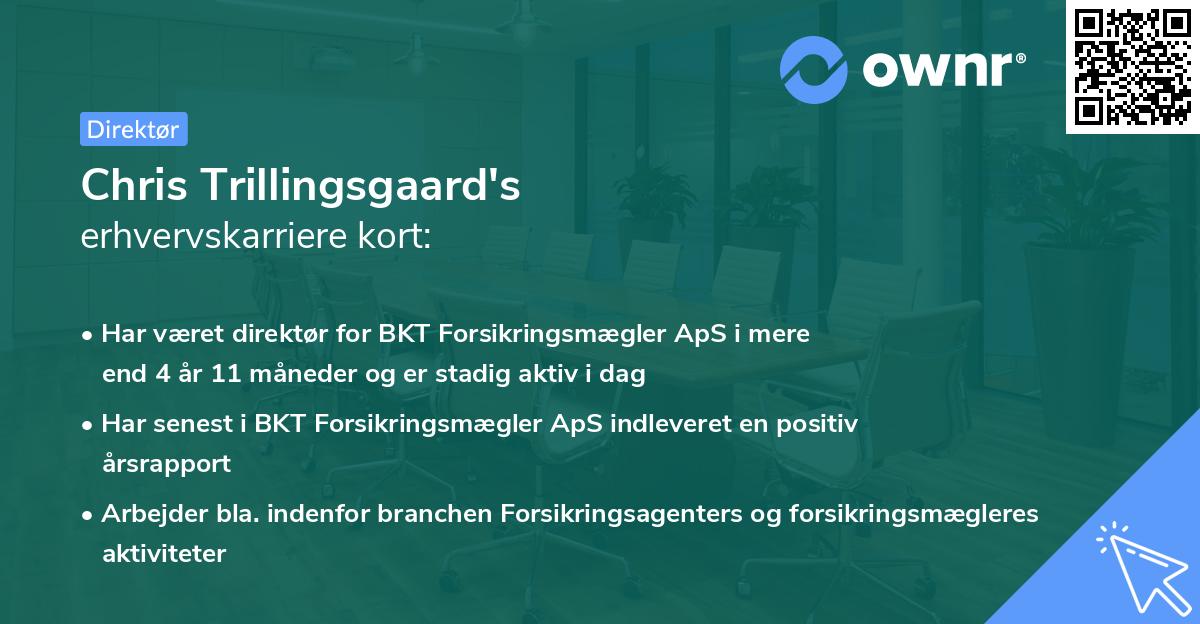 Chris Trillingsgaard's erhvervskarriere kort