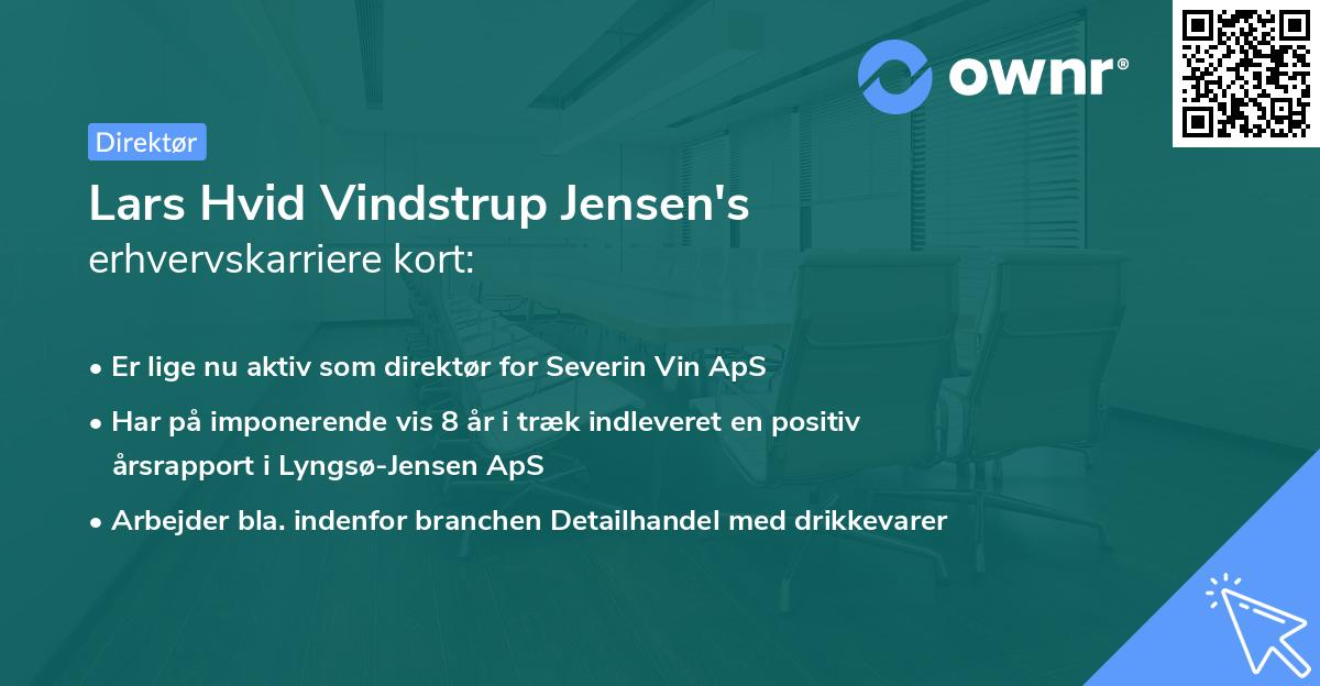 Lars Hvid Vindstrup Jensen's erhvervskarriere kort