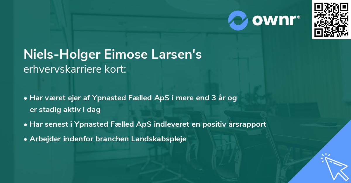Niels-Holger Eimose Larsen's erhvervskarriere kort