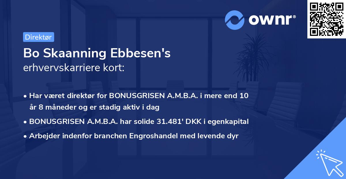 Bo Skaanning Ebbesen's erhvervskarriere kort