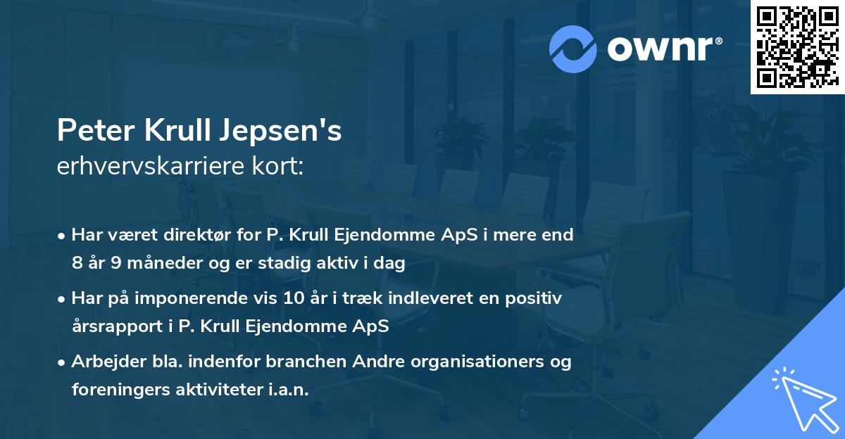 Peter Krull Jepsen's erhvervskarriere kort