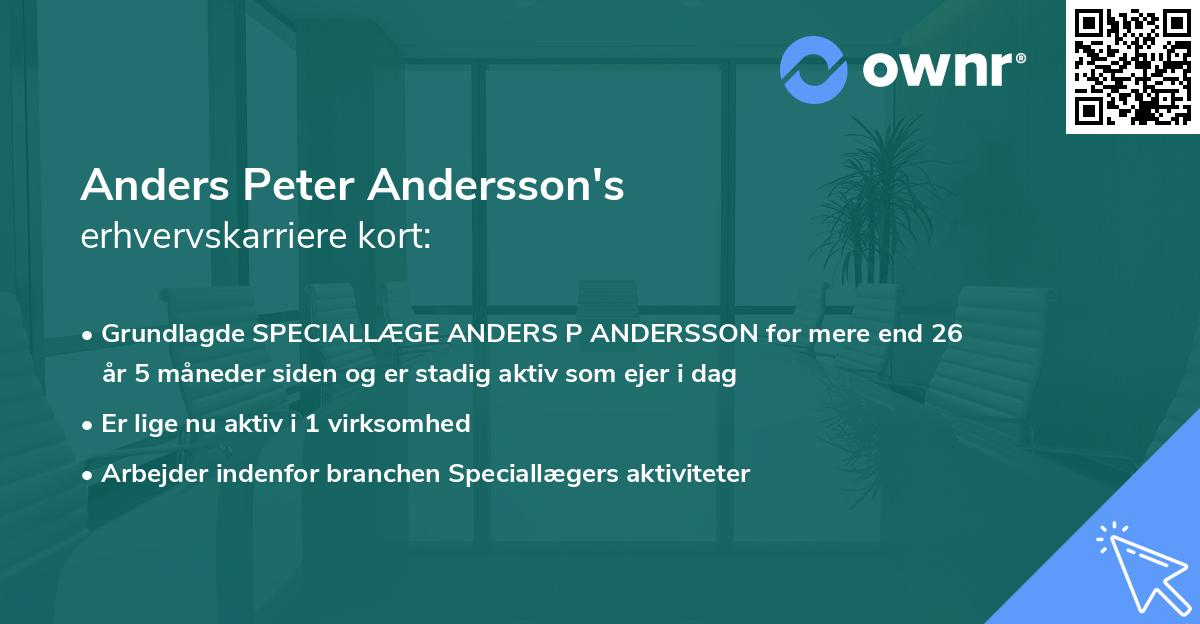 Anders Peter Andersson's erhvervskarriere kort