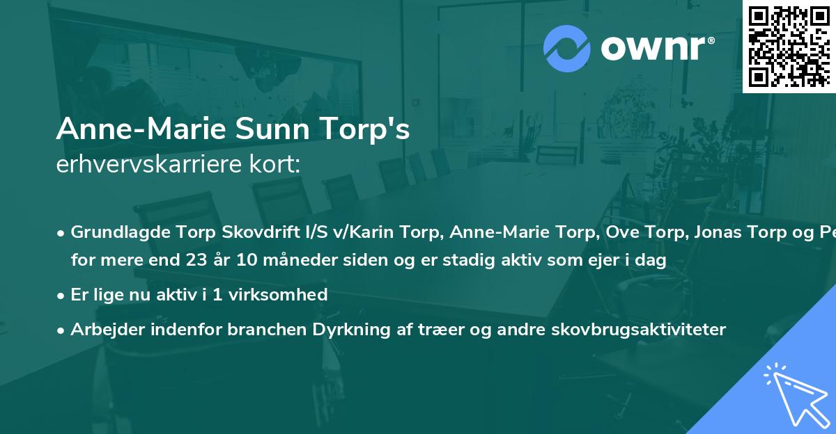 Anne-Marie Sunn Torp's erhvervskarriere kort