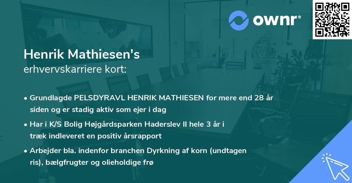 Henrik Mathiesen's erhvervskarriere kort