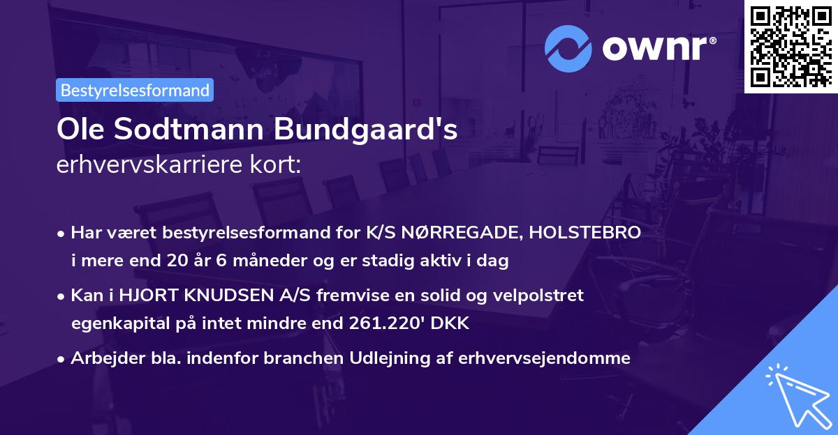 Ole Sodtmann Bundgaard's erhvervskarriere kort