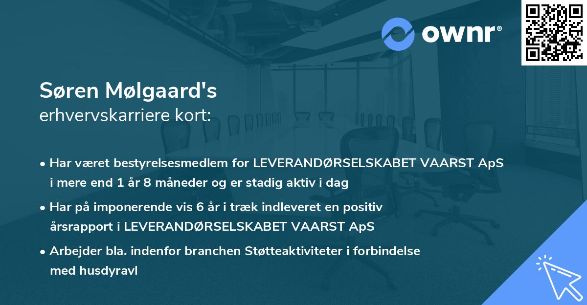 Søren Mølgaard's erhvervskarriere kort